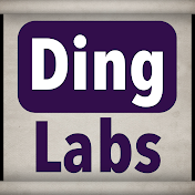 DingLabs