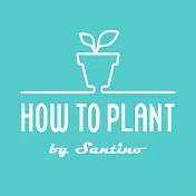 HOW TO PLANT