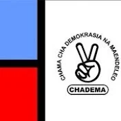 Chadema Diaspora