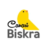 Canari Biskra