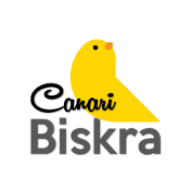 Canari Biskra