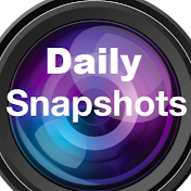 Daily Snapshots