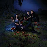 TVD014