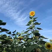 West Texas Garden Experiment