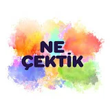 Ne çektik