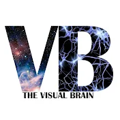 The Visual Brain