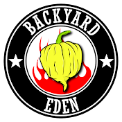 Backyard Eden