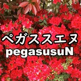 ペガススエヌpegasusuN