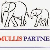 Mullis Partners