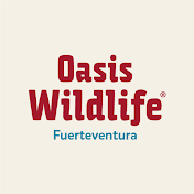 Oasis Wildlife Fuerteventura