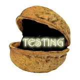 Testing in Nutshell