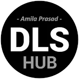 DLS HUB