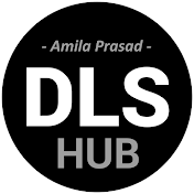 DLS HUB