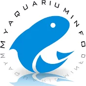 Myaquariuminfo