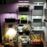 Aerogarden Experiments