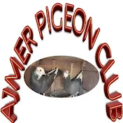 Ajmer PIGEON CLUB