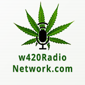 W420 Radio