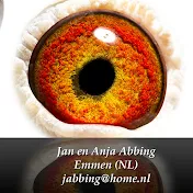 Jan Abbing