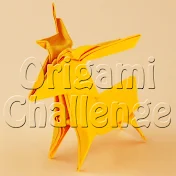 Origami Challenge