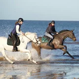 Molly & Ella Showjumping