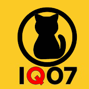 IQ07