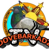 DOVEBARKADZ TV