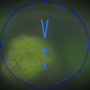 The Vex Project