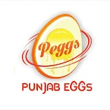 Peggs India