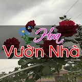 Hoa Vườn Nhà