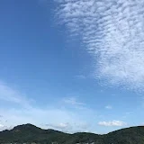 まつこよしこのリウマチ体験記