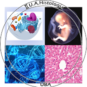 Histología 2 FMed UBA