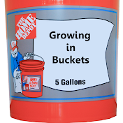 Growing in Buckets