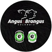 angus brangus colombia