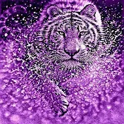 Purple Tigress