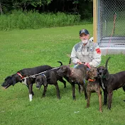 Hound Hunting Bear and Bobcat with Sam Natole