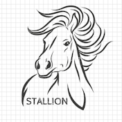 STALLION