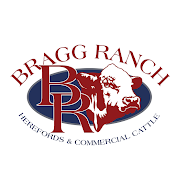 Bragg Ranch | Herefords & Commercial Cattle