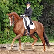 TopClassDressage