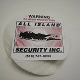 All Island Security Inc