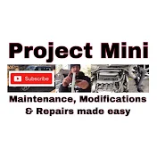 Project Mini