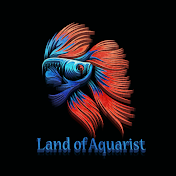 Land Of Aquarist