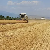 Biçerdöver Uzmanı combine harvest specialists