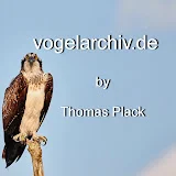 vogelarchiv.de