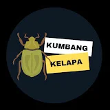 Kumbang Kelapa