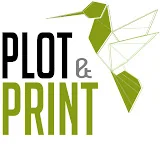 Plot and Print