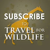 Travel For Wildlife