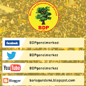 BDP Barış ve Demokrasi Partisi