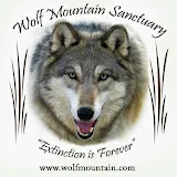 Wolf Mountain Sanctuary