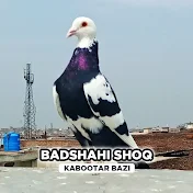 Badshahi Shoq Kabootar Bazi