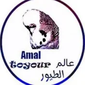 AMAL TOYOUR